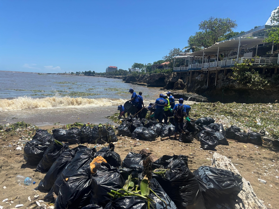 Ayuntamiento de Santo Domingo libra batalla contra toneladas de basura y maleza en playa tras lluvias