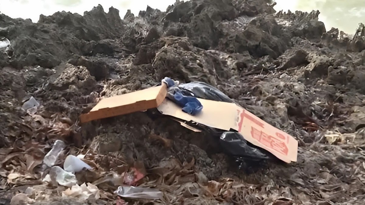 Hallan cuerpo sin vida de un niño en avanzado estado de descomposición en el Malecón de Santo Domingo - Noticias de hoy en República Dominicana | De Último Minuto