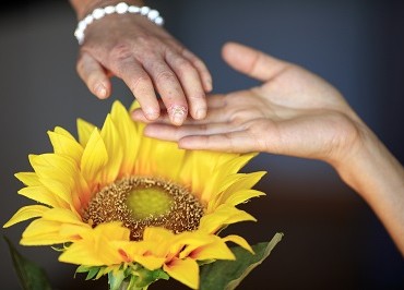 29 de junio: Día Mundial de la Esclerodermia, una enfermedad rara que endurece la piel | 3 | 29 de junio: Día Mundial de la Esclerodermia, una enfermedad rara que endurece la piel - Noticias de hoy en República Dominicana | De Último Minuto