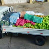 Inespre anuncia la “Ruta Caravana con Guineo a Peso”