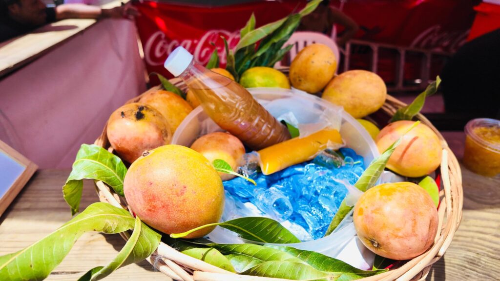 Miles de personas llegan a Baní a la Feria del Mango 2025 - Noticias de hoy en República Dominicana | De Último Minuto