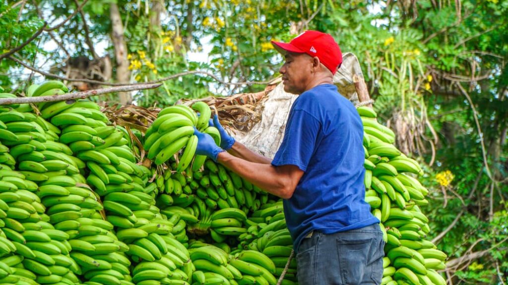 Concluye en San Juan proyecto “Inespre con las Madres” con más de 800 mil beneficiarios | 2 | Concluye en San Juan proyecto “Inespre con las Madres” con más de 800 mil beneficiarios - Noticias de hoy en República Dominicana | De Último Minuto