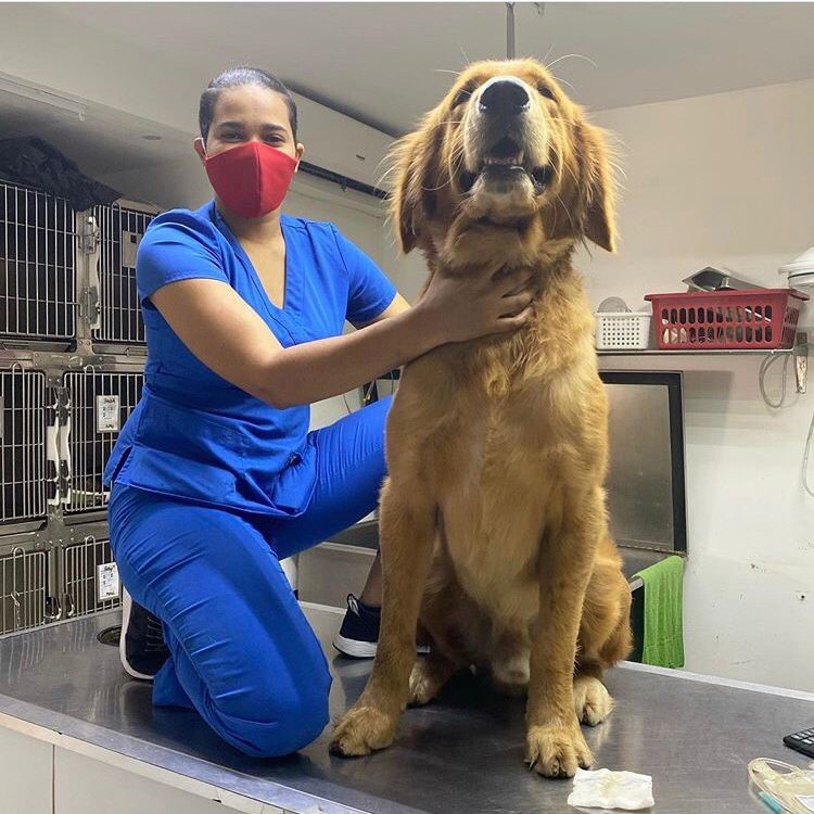 Nycole Gómez, una vida marcada por el fuego | 2 | Nycole Gómez, una vida marcada por el fuego - Noticias de hoy en República Dominicana | De Último Minuto