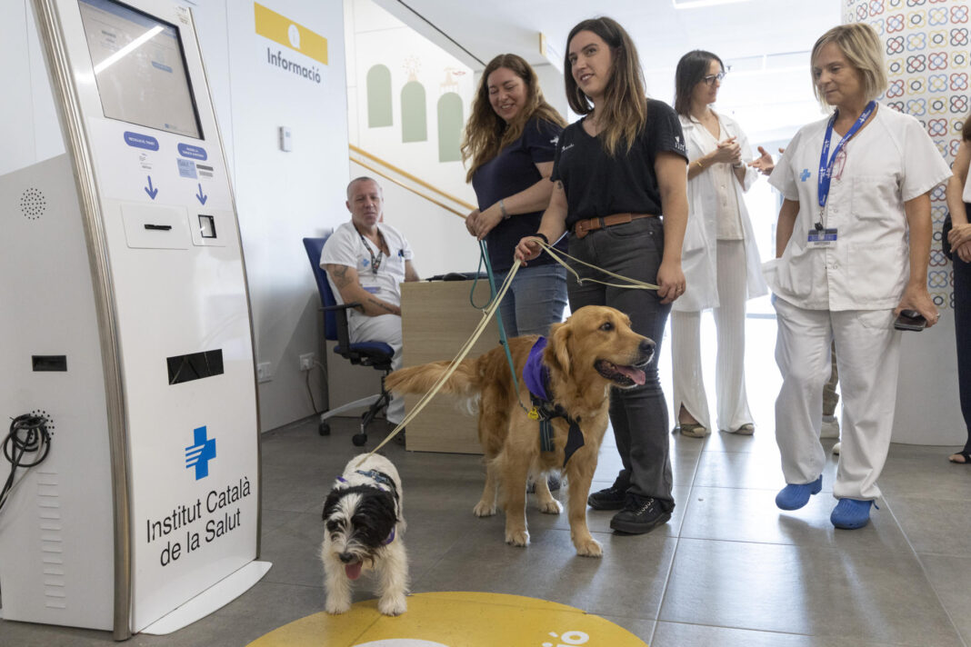 Terapeutas de cuatro patas en España para menores con conductas autolesivas y suicidas