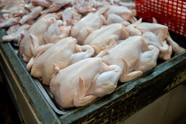 Productores avícolas del Cibao denuncian alza descontrolada del precio del pollo