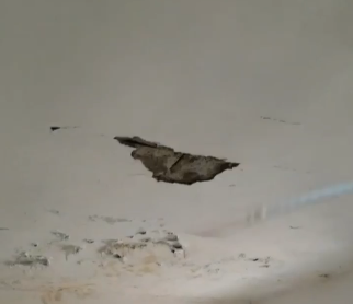 Denuncian condiciones deplorables en CPNA El Puerto, San Pedro de Macorís | 2 | Denuncian condiciones deplorables en CPNA El Puerto, San Pedro de Macorís - Noticias de hoy en República Dominicana | De Último Minuto