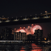 Incautan fuegos artificiales valorados en 250 mil dólares en Brooklyn previo al 4 de julio - Noticias de hoy en República Dominicana | De Último Minuto