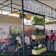 Festival de la Cosecha.