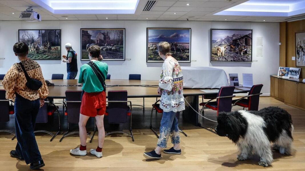 Francia inaugura un museo para los perros