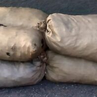 Ocupan sacos de carbón vegetal que eran transportados en animales en Elías Piña
