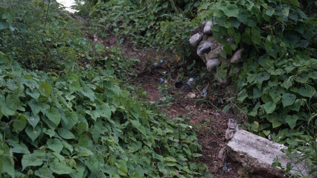 Residentes en Santa Clara, Manoguayabo, temen ocurra tragedia tras colapso de calle hace 6 años | 6 | Residentes en Santa Clara, Manoguayabo, temen ocurra tragedia tras colapso de calle hace 6 años - Noticias de hoy en República Dominicana | De Último Minuto