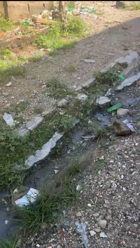 Denuncian deterioro en calles y aceras en Los Frailes I | 3 | Denuncian deterioro en calles y aceras en Los Frailes I - Noticias de hoy en República Dominicana | De Último Minuto