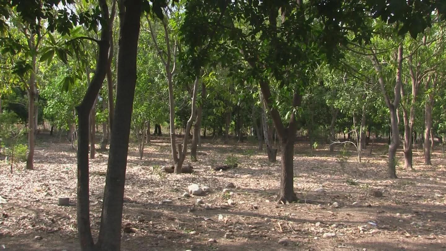 Agricultores de Azua denuncian intento de despojo violento por banda armada en Higuerito