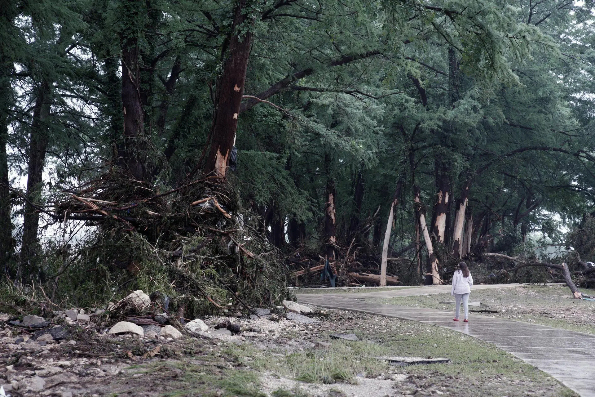 Las inundaciones en Texas dejan ya 32 víctimas mortales - Noticias de hoy en República Dominicana | De Último Minuto