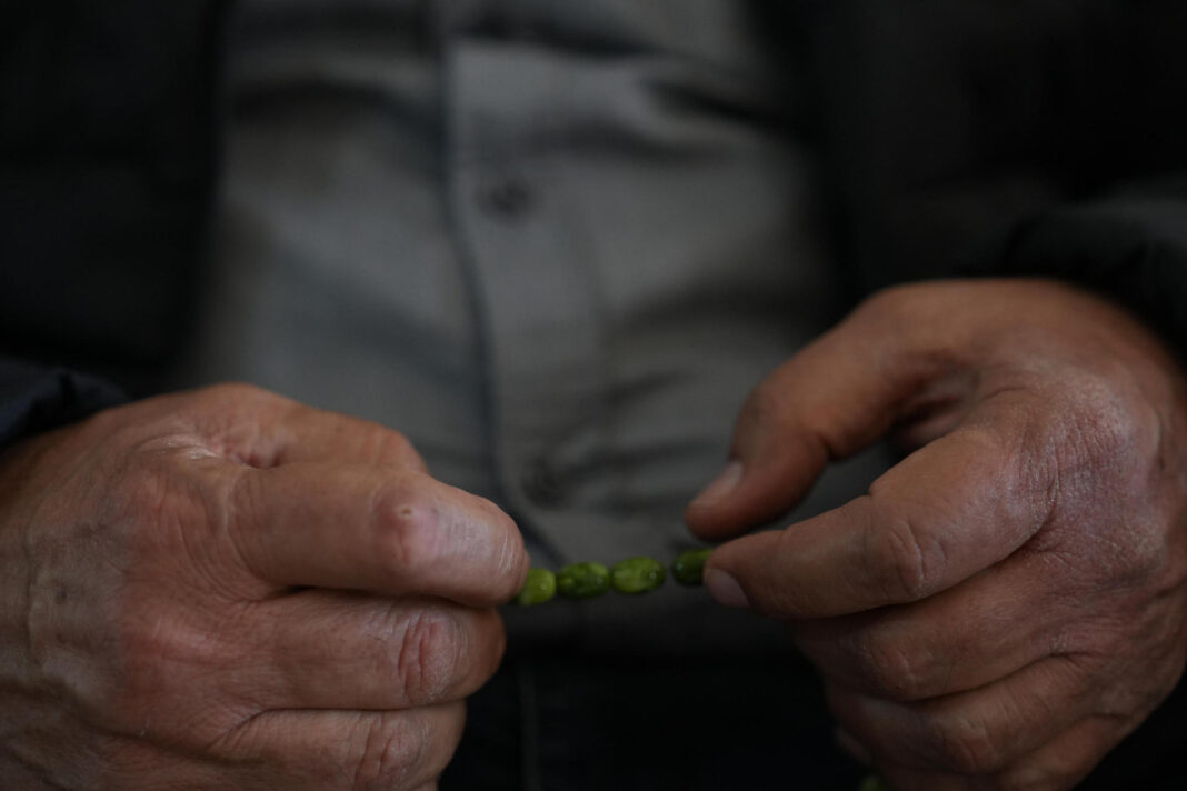 Identifican una hormona natural que protege a las neuronas del daño del párkinson