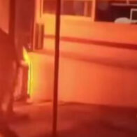 Reos toman control de cárcel de Veracruz y le prenden fuego; hay 7 muertos 11 heridos - Noticias de hoy en República Dominicana | De Último Minuto