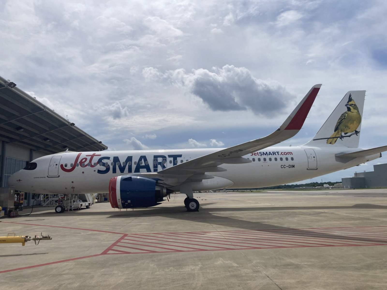 JetSMART anuncia vuelos directos desde Punta Cana hacia Cali y Medellín - Noticias de hoy en República Dominicana | De Último Minuto