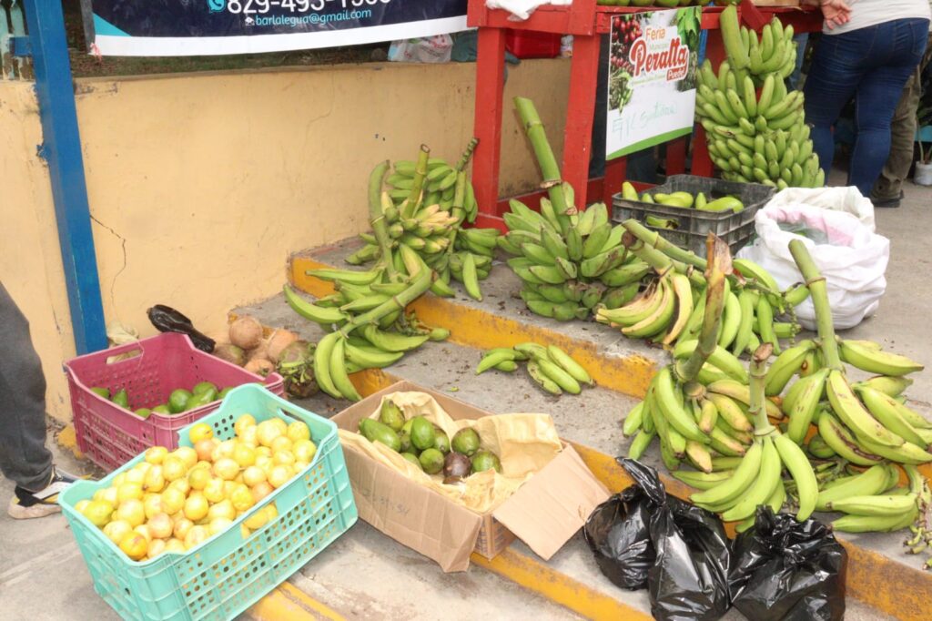 Cientos de personas se dan cita en la Feria Agropecuaria y Ecoturística 2025 en Azua | 4 | Cientos de personas se dan cita en la Feria Agropecuaria y Ecoturística 2025 en Azua - Noticias de hoy en República Dominicana | De Último Minuto