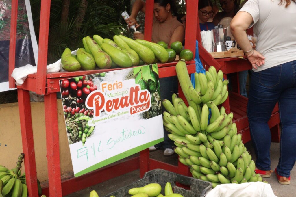 Cientos de personas se dan cita en la Feria Agropecuaria y Ecoturística 2025 en Azua | 2 | Cientos de personas se dan cita en la Feria Agropecuaria y Ecoturística 2025 en Azua - Noticias de hoy en República Dominicana | De Último Minuto