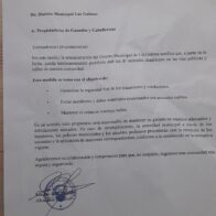 Las Galeras prohíbe circulación de animales sueltos tras accidentes viales