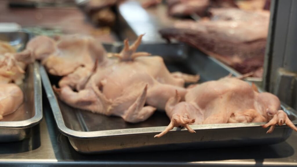 Comerciantes de la Ciudad Ganadera desmienten que el precio del pollo esté a 125 pesos la libra | 3 | Comerciantes de la Ciudad Ganadera desmienten que el precio del pollo esté a 125 pesos la libra - Noticias de hoy en República Dominicana | De Último Minuto