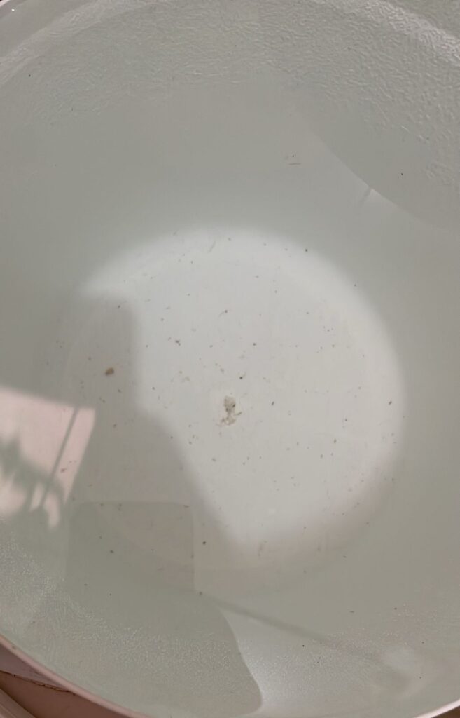 Residentes en el Residencial Juan Rafael denuncian agua contaminada | 3 | Residentes en el Residencial Juan Rafael denuncian agua contaminada - Noticias de hoy en República Dominicana | De Último Minuto