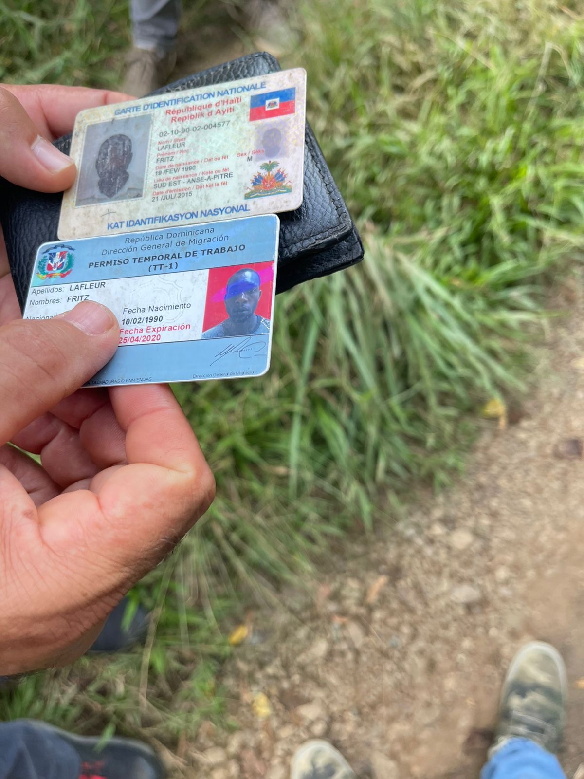 Hombre de nacionalidad haitiana muere electrocutado mientras podaba un árbol en Monte Plata - Noticias de hoy en República Dominicana | De Último Minuto