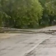 Fuertes vientos y lluvias provocan caída de árbol en carretera Salcedo–Tenares