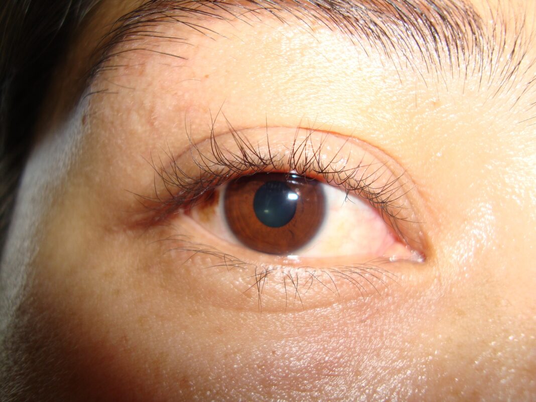 Las enfermedades de la retina: un llamado a la prevención para proteger la visión