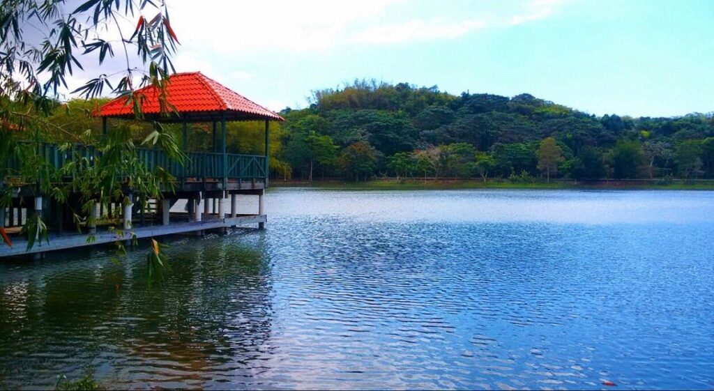 Parque Nacional Mirador del Norte: un viaje sensorial al corazón ecológico de Santo Domingo | 5 | Parque Nacional Mirador del Norte