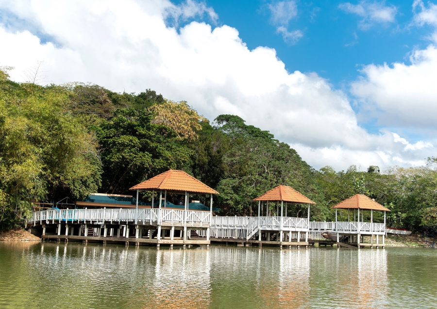 Parque Nacional Mirador del Norte: un viaje sensorial al corazón ecológico de Santo Domingo | 3 | Parque Nacional Mirador del Norte
