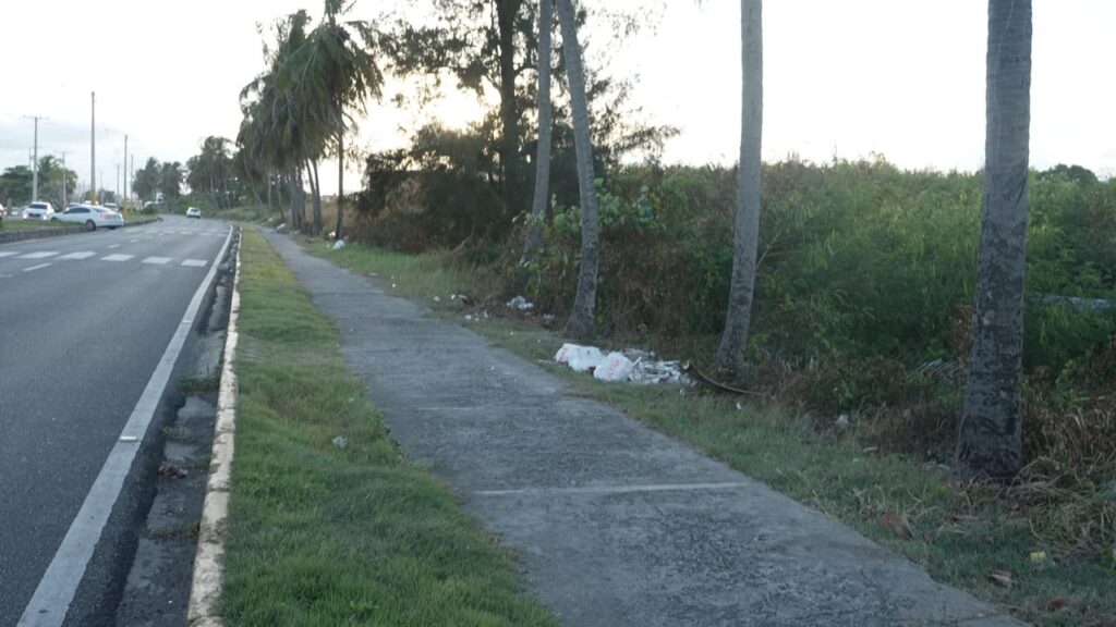 Ciudadanos de la avenida de España reaccionan ante caso de violación a mujer haitiana | 4 | Ciudadanos de la avenida de España reaccionan ante caso de violación a mujer haitiana - Noticias de hoy en República Dominicana | De Último Minuto
