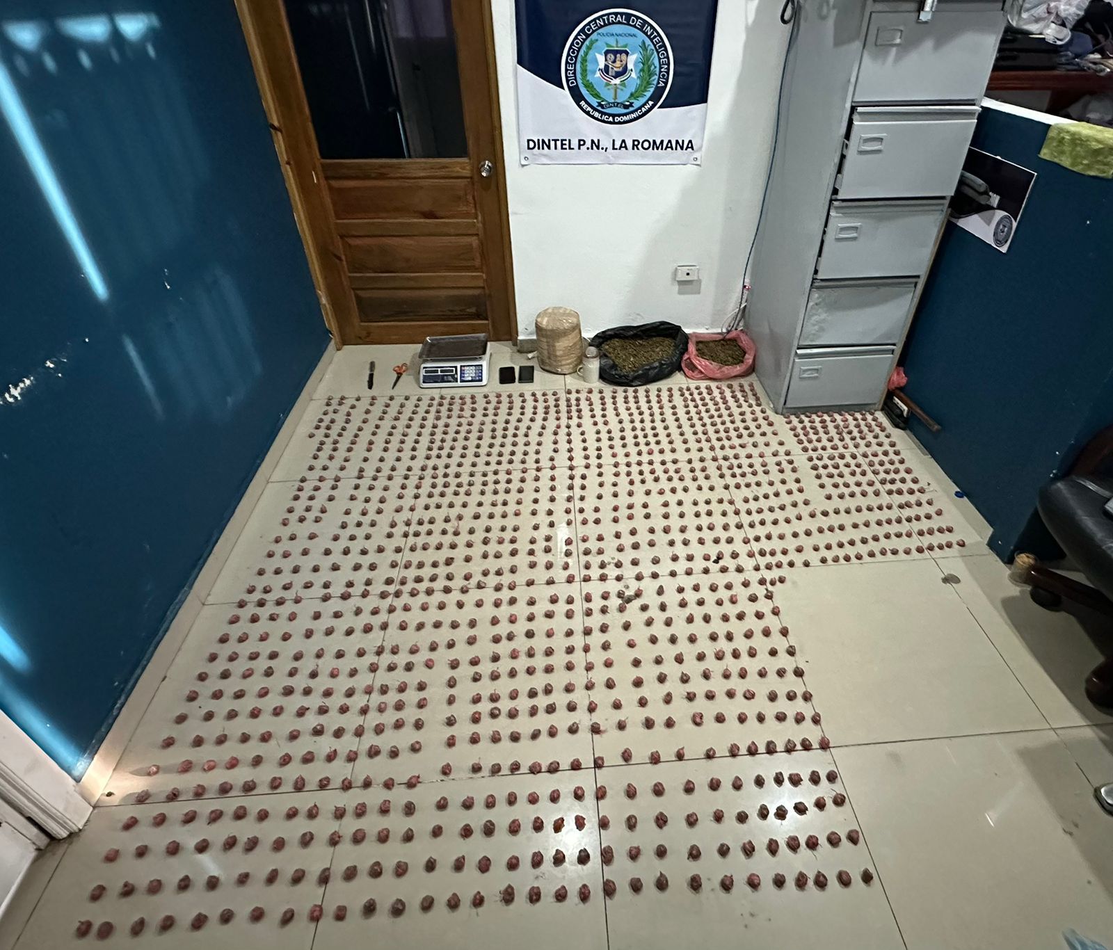 DINTEl junto al MP ocupa más de 7 mil gramos de marihuana - Noticias de hoy en República Dominicana | De Último Minuto