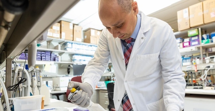 ¿Por qué la terapia CAR-T pierde eficacia? Envejecimiento celular como factor de recurrencia en pacientes con cáncer