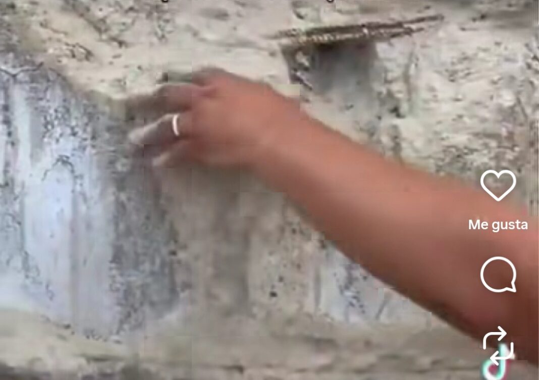 Video viral sobre columna del Metro.