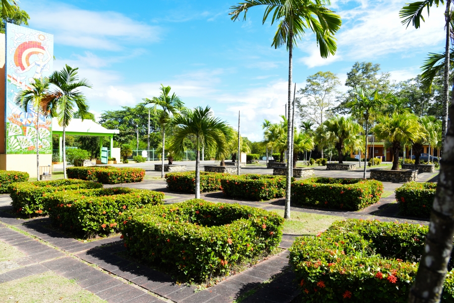 Parque Nacional Mirador del Norte: un viaje sensorial al corazón ecológico de Santo Domingo | 6 | Parque Nacional Mirador del Norte