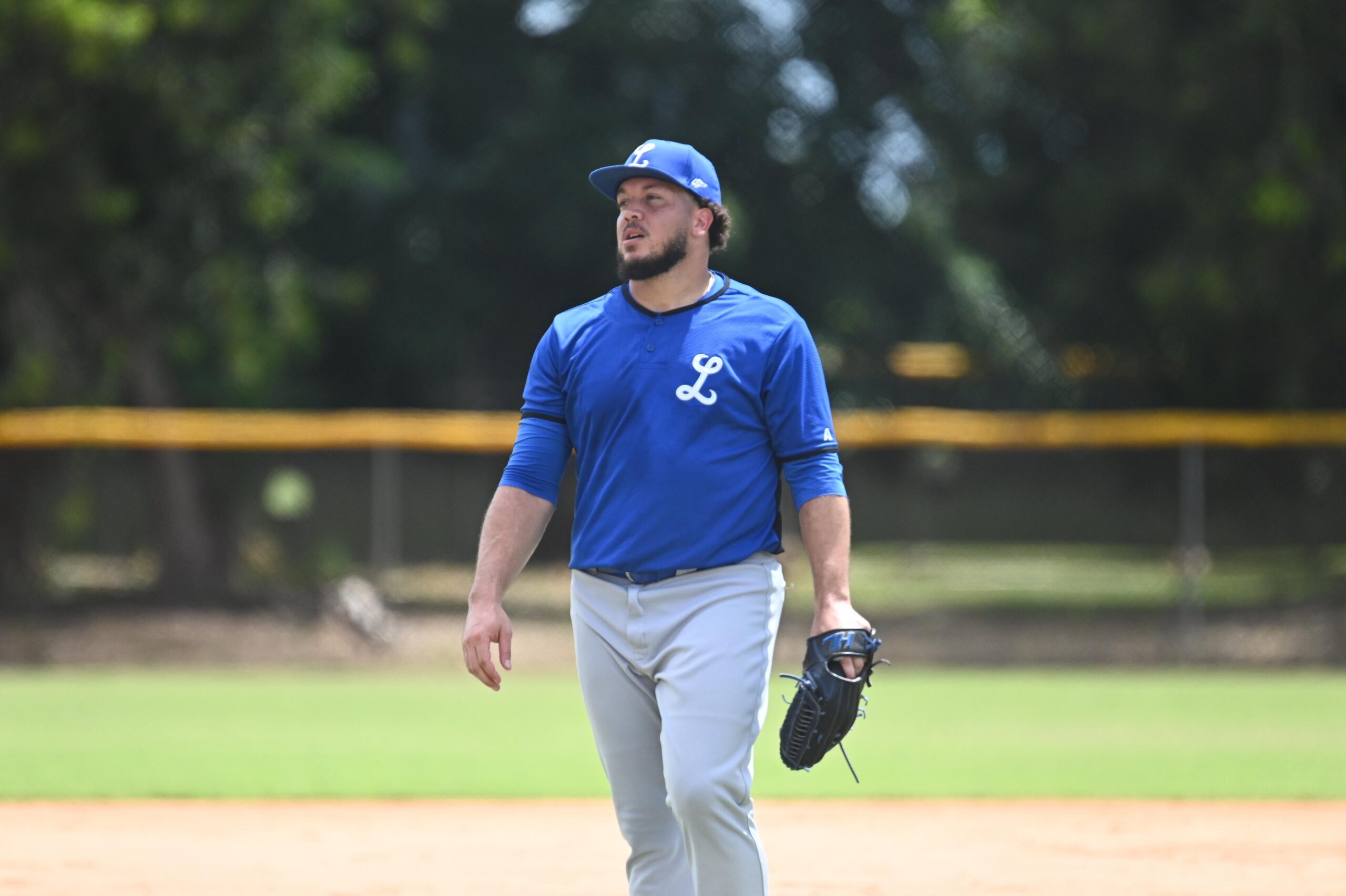 Aro, Arias, Severino y Muñoz se integran al campamento de los Tigres del Licey - Noticias de hoy en República Dominicana | De Último Minuto