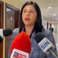 Congresistas valoran esfuerzos de Abinader con China y Rusia para que apoyen misión antipandillas en Haití