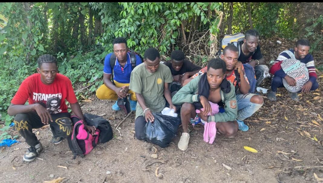 Ejército detiene a ocho nacionales haitianos que se escondían en un platanal en Valverde