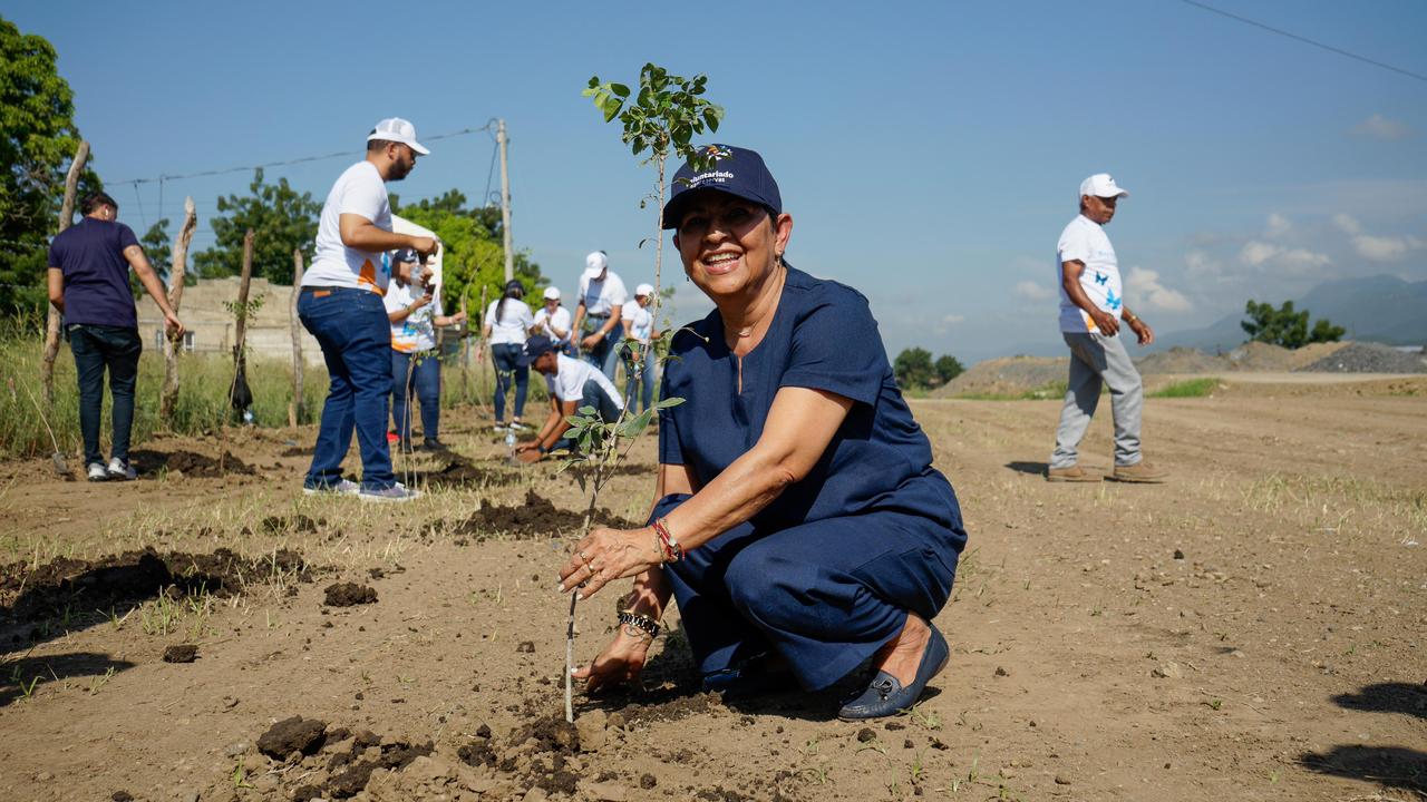 Voluntariado Banreservas siembra 1,500 caobas criollas en Navarrete durante el Mes de la Reforestación
