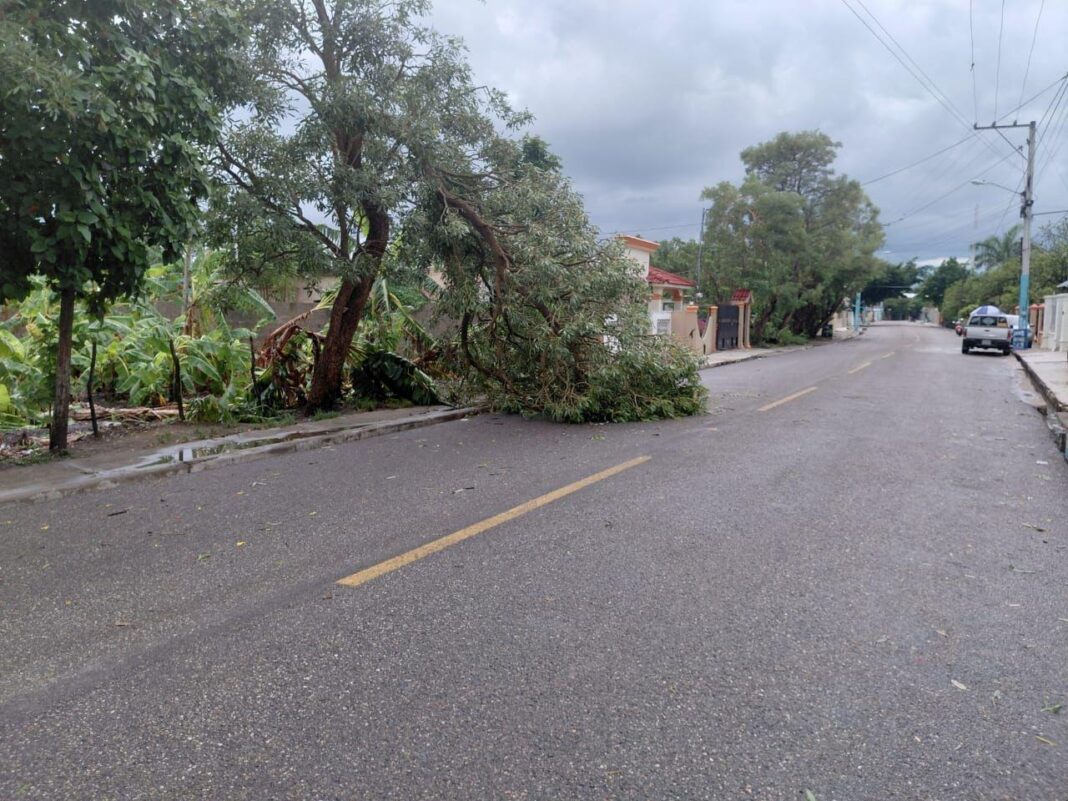 Fuerte tornado y lluvias provocan daños en comunidad de Barranca, La Vega