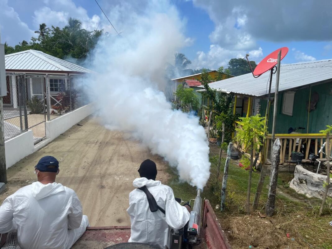 Salud Pública de La Romana impacta la Isla Saona con intensas jornadas de fumigación y desinfección