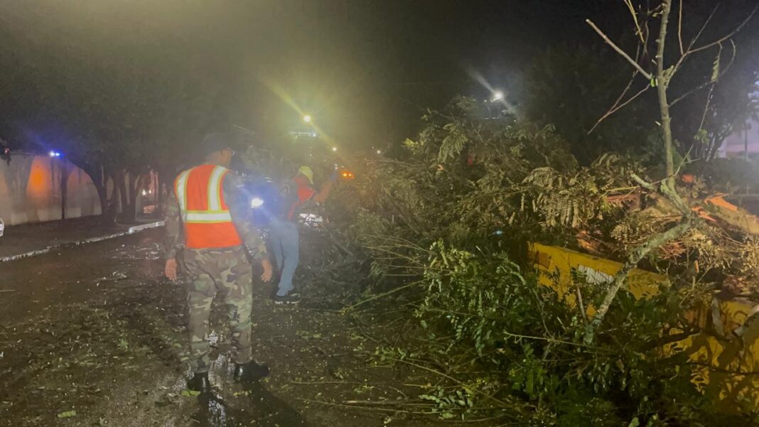 Fuertes lluvias provocan caída de árboles, taponamientos e inundaciones en Santiago
