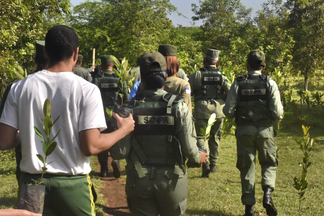 SENPA impulsa jornada de reforestación en Los Tablones, San Luis, con apoyo interinstitucional