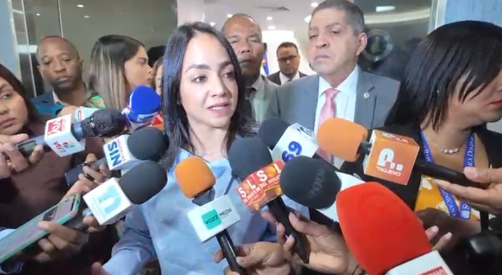 Ministra de Interior se reúne con bloque de diputados del PRM para tratar seguridad ciudadana y reforma policial