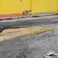 Tras inundaciones por Melissa, Los Frailes respira: el agua empieza a bajar