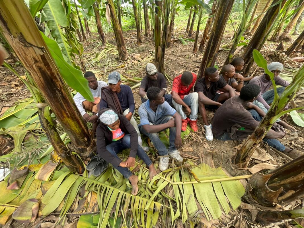 Ejército ocupa motocicletas utilizadas para transporte ilegal de extranjeros y detiene a 11 haitianos indocumentados en Mao