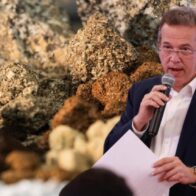 República Dominicana completa mapeo de tierras raras y proyecta nuevo horizonte industrial