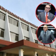 Pedir destitución de jueces del TC por fallo sobre relaciones homosexuales es "extremista", advierten diputados