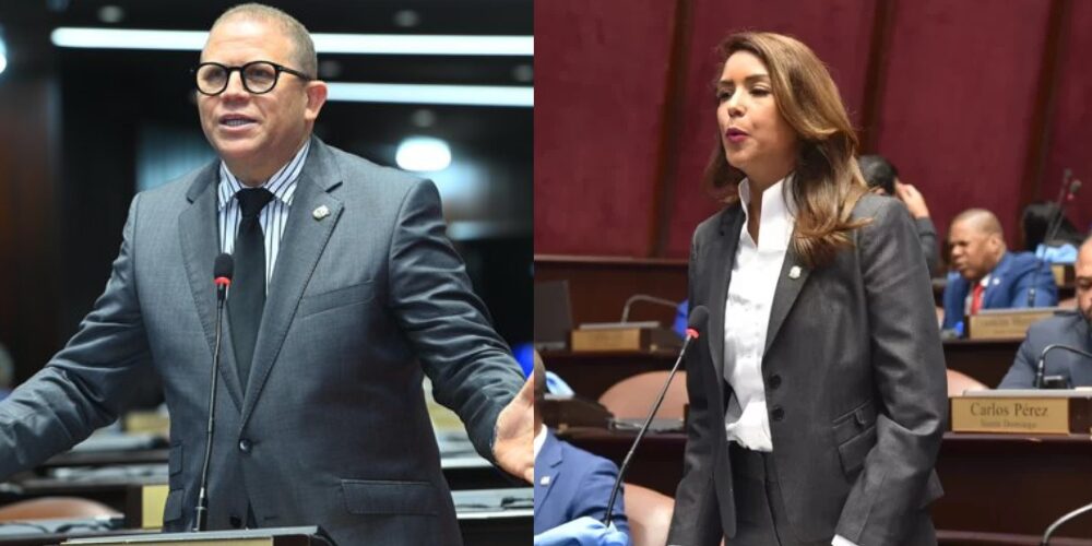 Diputados FP critican discurso de Paliza y señalan fallos de JCE en control de candidaturas